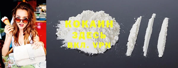 крисы Алексин