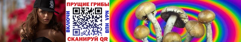 darknet официальный сайт  Любань  Псилоцибиновые грибы ЛСД 